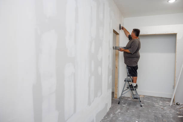 Reliable Catlettsburg, KY Mold Removal Solutions