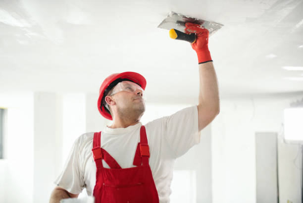 Mold Removal for HVAC Installations